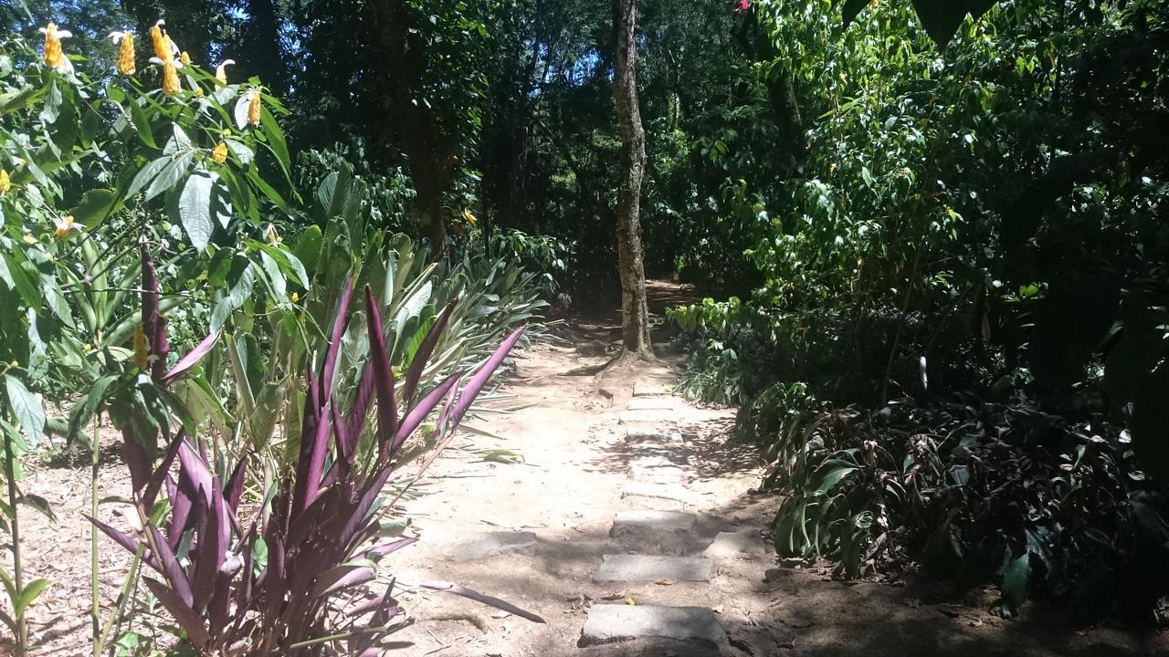 Bed and breakfast Reb Casa Itanhangá 2*